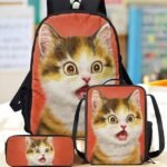 Kids cute cat theme three-piece backpack set, Including